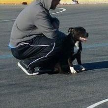 Profile Picture of Joseph Conde (@AANGLERR) on Twitter