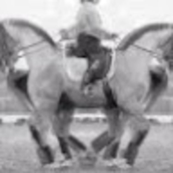 Profile Picture of Laura Clouse (@purpleflubberdu) on Poshmark