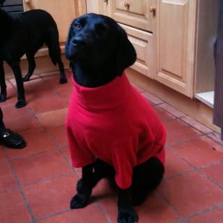 Profile Picture of Richard Gibbons (@richardgibbons1) on Instagram