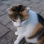 Profile Picture of Zoe Bretscher (@zoebretscher) on Instagram