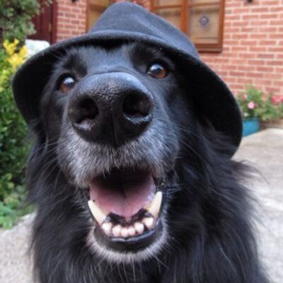 Profile Picture of Amanda Chambers (@AmandaChambers8) on Twitter