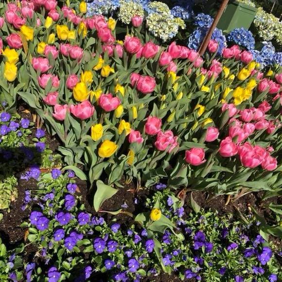 Profile Picture of Andressa Colombo (@andressa12) on Poshmark