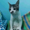 Profile Picture of Edward Nicolas (@@its.rilo18) on Tiktok