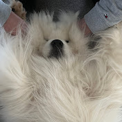 Profile Picture of Ed Morgan (@enmorgan72) on Youtube