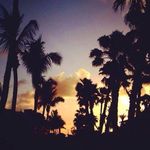 Profile Picture of Claude Celestine (@claudecelestine97150) on Instagram