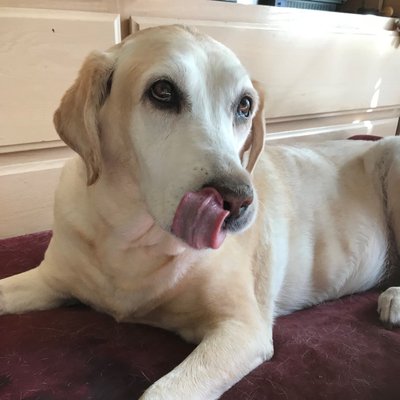 Profile Picture of Mark Winkler (@MarkMeeps89) on Twitter