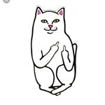 Profile Picture of Sebastian Ackerer (@sebastian_ackerer) on Instagram