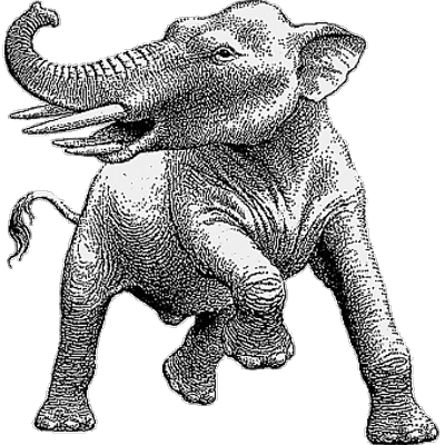 Profile Picture of Mark Gorman (@marksgorman) on Twitter