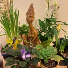 Profile Picture of colleengrant46 (@colleengrant46) on Tiktok
