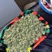Profile Picture of Mike Evert (@mike.evert.338) on Facebook