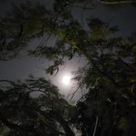 Profile Picture of michael___english (@michael___english) on Instagram