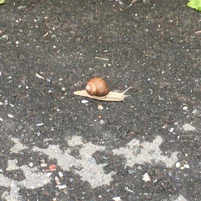 Profile Picture of Martin Gustavsson (@MartinGustavs11) on Twitter