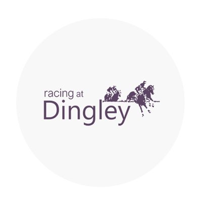 Pingley Facebook, Instagram & Twitter on PeekYou