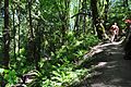 Profile Picture of Evans Creek Preserveon Wikipedia