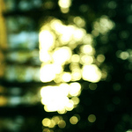 Profile Picture of Ignacio Etchebarne (@ignacioetchebarne) on Flickr