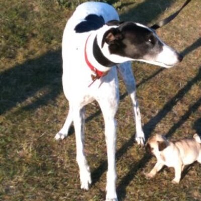 Profile Picture of Colin Stephenson (@Colin_Timeless) on Twitter