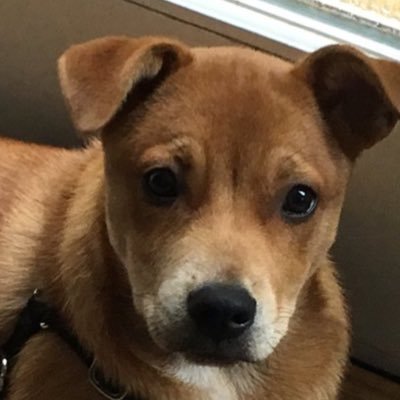 Profile Picture of Merritt Paulson (@MerrittPaulson) on Twitter