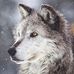 Profile Picture of Lillian Irizarry (@lillian.irizarry.3726) on Facebook