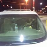 Profile Picture of Mark Troxler (@mark.troxler) on Instagram