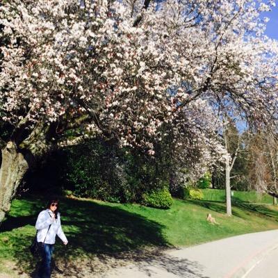 Profile Picture of Marilyn Schroeder (@JandJcat) on Twitter