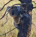 Profile Picture of Simon Cooper (@simon.cooper.1044) on Facebook