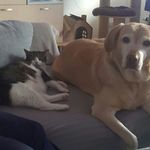 Profile Picture of Marita Cabanski (@maritacabanski) on Instagram