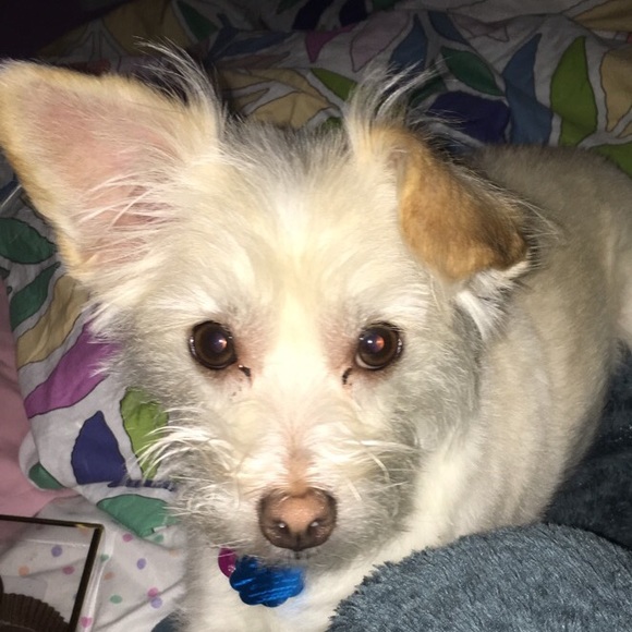 Profile Picture of Cece Grabinski (@cc_grabinski) on Poshmark