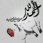 Profile Picture of beedoo (@beedoo444) on Instagram