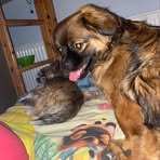 Profile Picture of Paula Ehrlich (@Paula-Ehrlich) on Facebook