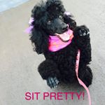 Profile Picture of Kathy Morlan (@candycane7979) on Instagram