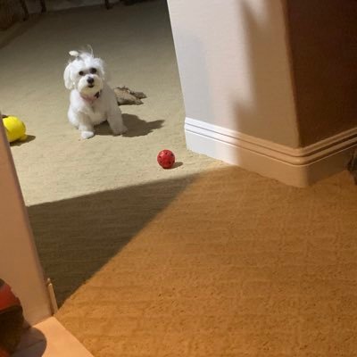 Profile Picture of Marilyn Bender (@Marilyn01868443) on Twitter