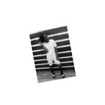 Profile Picture of casse lara (@casse.lara) on Instagram