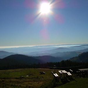 Adam Barabas - Myspace Profile Picture of Adam Barabas (@doki62) on Myspace