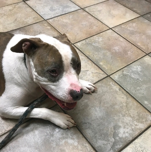 Profile Picture of Tim Benjamin (@timbenjamin) on Poshmark