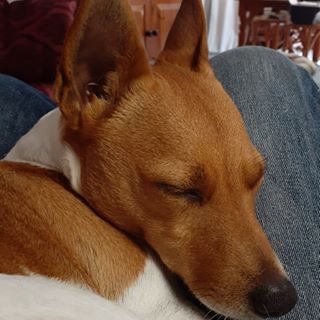 Profile Picture of Russ Boyes (@russ.boyes.5) on Facebook