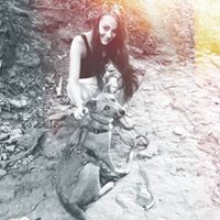 Profile Picture of Kris Pearce (@kris-pearce-1) on Quora