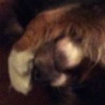 Profile Picture of Danny Darrow (@partyhorse426999) on Instagram
