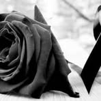 Profile Picture of Lucian Dragan (@Lucian-Dragan) on Facebook