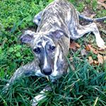 Profile Picture of Sidney “Connor