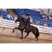 Profile Picture of Jimmy Tillett Stables (@jimmy.t.stables) on Facebook