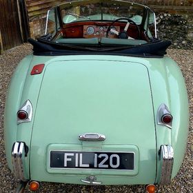 Daniela Abella - Pinterest Profile Picture of Daniela Abella (@daniabella) on Pinterest