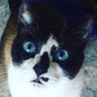Profile Picture of Devin Rambo (@devin-rambo-3) on Quora