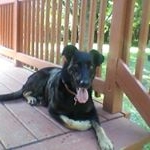 Profile Picture of Kevin Gregory (@kevingregory3148) on Instagram