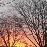 Ian Castaneda - Instagram Profile Picture of Ian Castaneda (@yb_ian.c) on Instagram