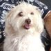 Profile Picture of Vince Aiello (@vincent.aiello.3348) on Facebook
