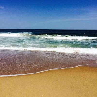 Profile Picture of Maddy Schafianski (@79a24269b2b44ed) on Twitter