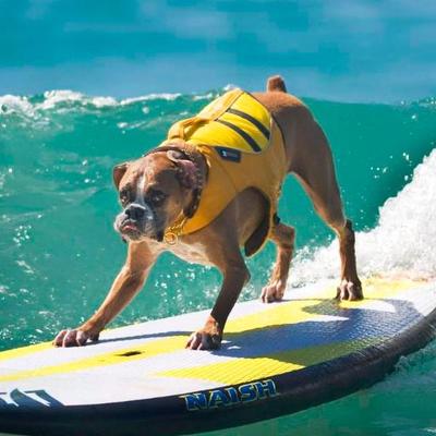 Profile Picture of Joe Eno (@josepheno) on Twitter