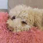 Profile Picture of Trisha PallasStandi (@trisha.pallasstandi) on Facebook