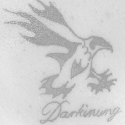 Profile Picture of Lisa Nowlan (@MissWomble8) on Twitter