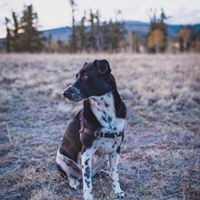 Profile Picture of Jillian Schneider (@jillian-schneider-3) on Quora
